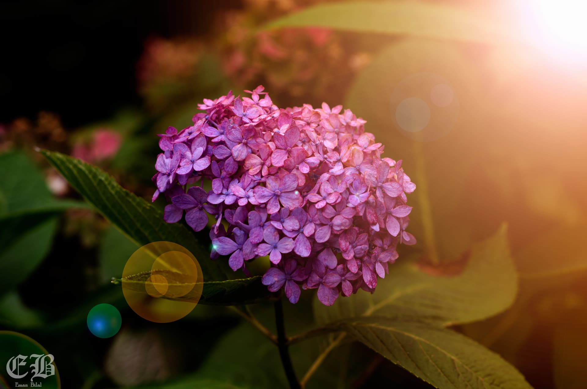 Street Style - Landscapes - Travel